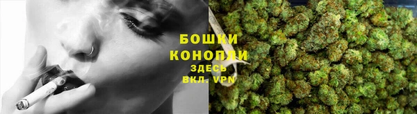 стафф Заречный